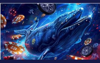 Cosmos und Polkadot, einst Lieblinge der Krypto-Community, beginnen nach einem schrecklichen Jahr 2024 ihren Glanz zu verlieren