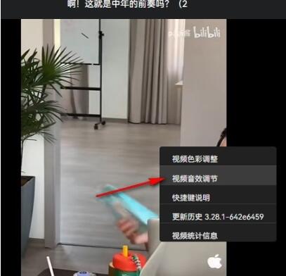 哔哩哔哩如何设置视频音效 哔哩哔哩设置视频音效教程