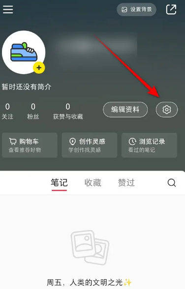 小红书如何取消静音播放 设置静音播放操作步骤介绍