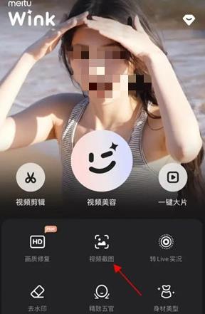 Wink软件怎么进行视频截图 Wink软件进行视频截图方法