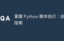 掌握 Python 脚本执行：综合指南