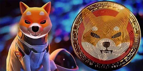 一文详细了解十年后柴犬币能涨到100元吗