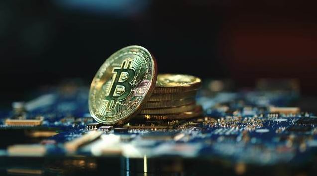 本周可以参与的交互新项目：PizzaSwap、Age of Dino、Soneium、MapleStory Universe