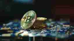 本周可以参与的交互新项目:PizzaSwap、Age of Dino、Soneium、MapleStory Universe