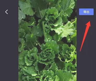 度咔剪辑怎么关闭原声 关闭原声操作方法