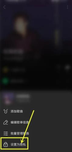 汽水音乐怎么设置歌单仅自己可见 汽水音乐设置歌单仅自己可见的方法