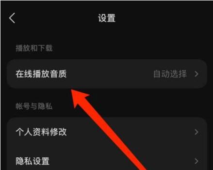 汽水音乐播放音质在哪修改 汽水音乐播放音质修改方法介绍
