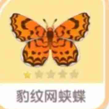 《心动小镇手游》豹纹网蛱蝶刷新位置一览