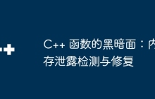 C++ 函数的黑暗面：内存泄露检测与修复