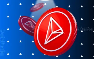 Laporan Bulanan TRON Ogos 2024 - Pertumbuhan Positif Dicatat merentas Yuran Bulanan, Hasil dan Pendapatan TRON
