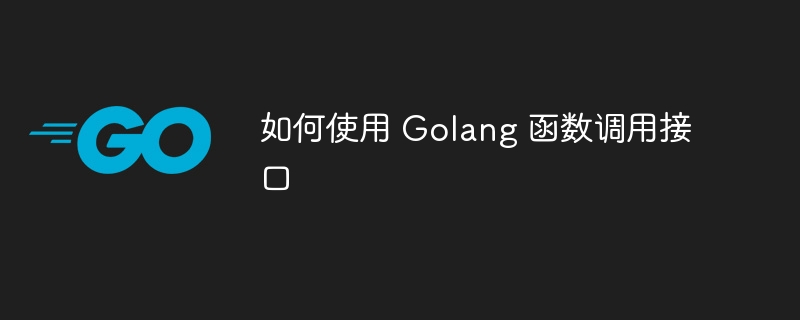 如何使用 golang 函数调用接口