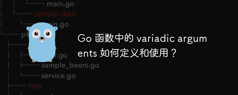 go 函数中的 variadic arguments 如何定义和使用？