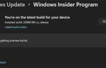 Win11怎么从Dev开发版切换到Beta渠道 Dev开发版切换到Beta渠道方法