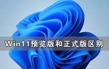 Win11预览版和正式版有什么区别