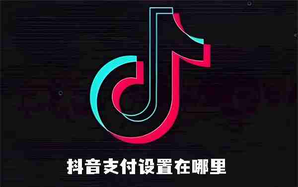 抖音支付设置在哪里 抖音支付设置位置介绍