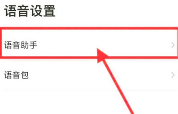 高德地图在哪打开语音唤醒功能 高德地图打开语音唤醒功能方法介绍
