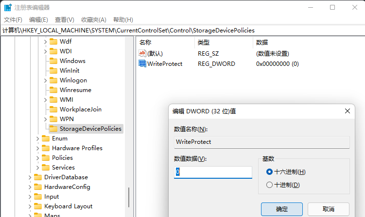 Win11磁盘被写保护怎么办 Win11磁盘被写保护解除方法