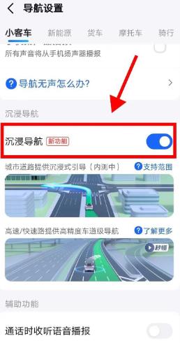 高德地图沉浸导航不显示怎么办 高德地图开启沉浸导航的技巧