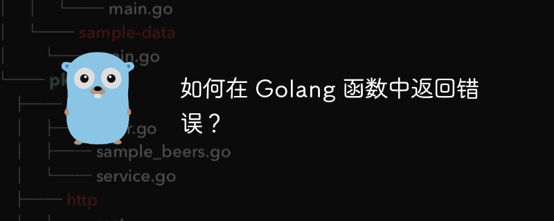 如何在 golang 函数中返回错误？