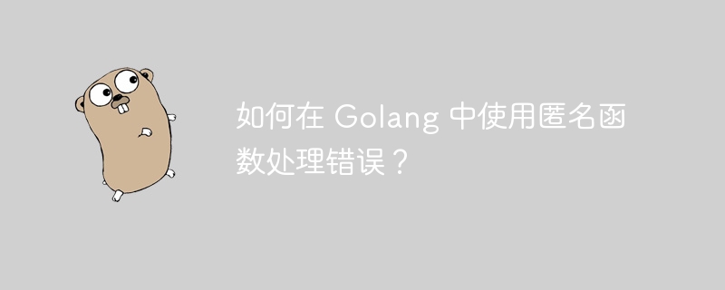 如何在 Golang 中使用匿名函数处理错误？