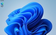 Win11怎么显示我的电脑 Win11怎么调出我的电脑图标