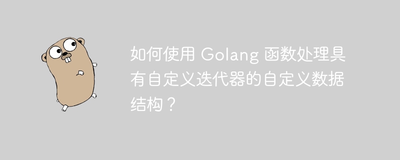 如何使用 golang 函数处理具有自定义迭代器的自定义数据结构？