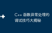 C++ 函数异常处理的调试技巧大揭秘