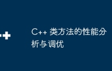 C++ 类方法的性能分析与调优