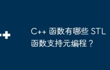 C++ 函数有哪些 STL 函数支持元编程？