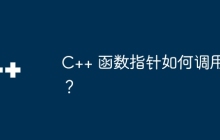 C++ 函数指针如何调用？