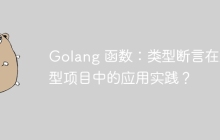 Golang 函数：类型断言在大型项目中的应用实践？