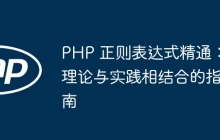 PHP 正则表达式精通:理论与实践相结合的指南