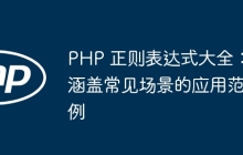 PHP 正则表达式大全:涵盖常见场景的应用范例