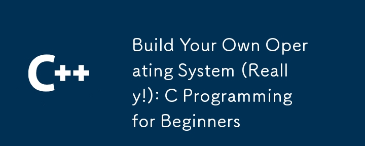 Build Your Own Operating System (Really!): C Programming for Beginners