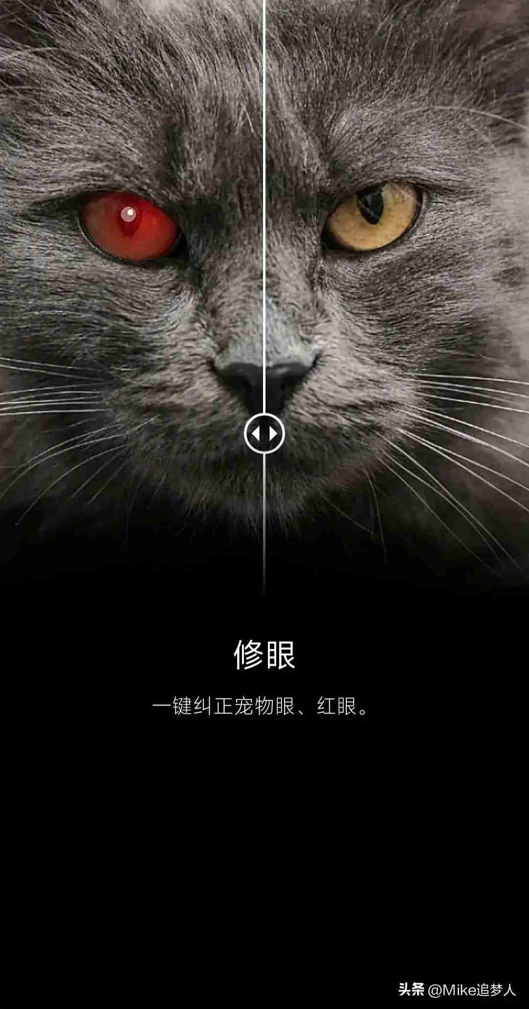 图像编辑软件手机版（好用的照片编辑app是哪个）