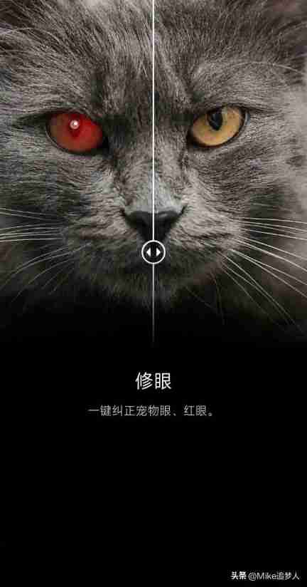 图像编辑软件手机版(好用的照片编辑app是哪个)
