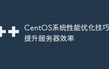 CentOS系统性能优化技巧，提升服务器效率