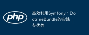 高效利用Symfony：DoctrineBundle的实践与优势