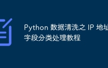 Python 数据清洗之 IP 地址字段分类处理教程