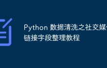 Python 数据清洗之社交媒体链接字段整理教程