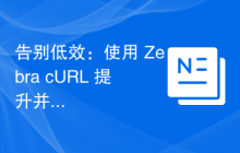 告别低效：使用 Zebra cURL 提升并发HTTP请求效率