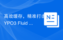 高效缓存，精准打击：TYPO3 Fluid Page Cache 的实践