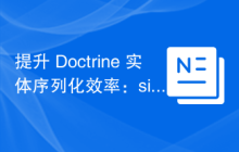 提升 Doctrine 实体序列化效率：sidus/doctrine-serializer-bundle 的应用