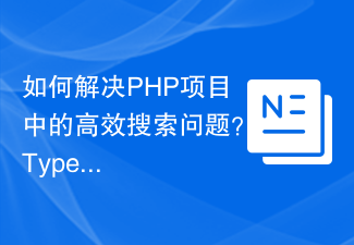 How to solve the efficient search problem in PHP projects? Typesense helps you achieve it!