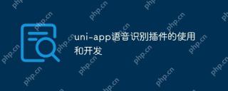 uni-app语音识别插件的使用和开发