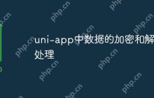 uni-app中数据的加密和解密处理
