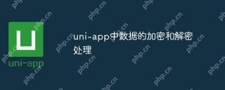 uni-app中数据的加密和解密处理