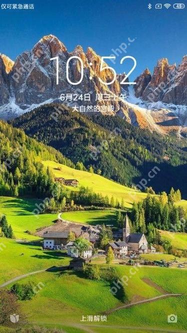 vivoX100Pro蔡司人像滤镜搭配