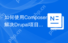 如何使用Composer解决Drupal项目中Composer命令执行缓慢的问题？zaporylie/composer-drupal-optimizations助你提升效率