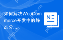 如何解决WooCommerce开发中的静态分析问题？使用php-stubs/woocommerce-stubs提升开发效率